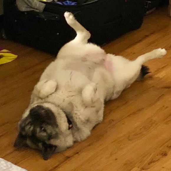 Meet your Posher, Janet - Picture 2 of 10